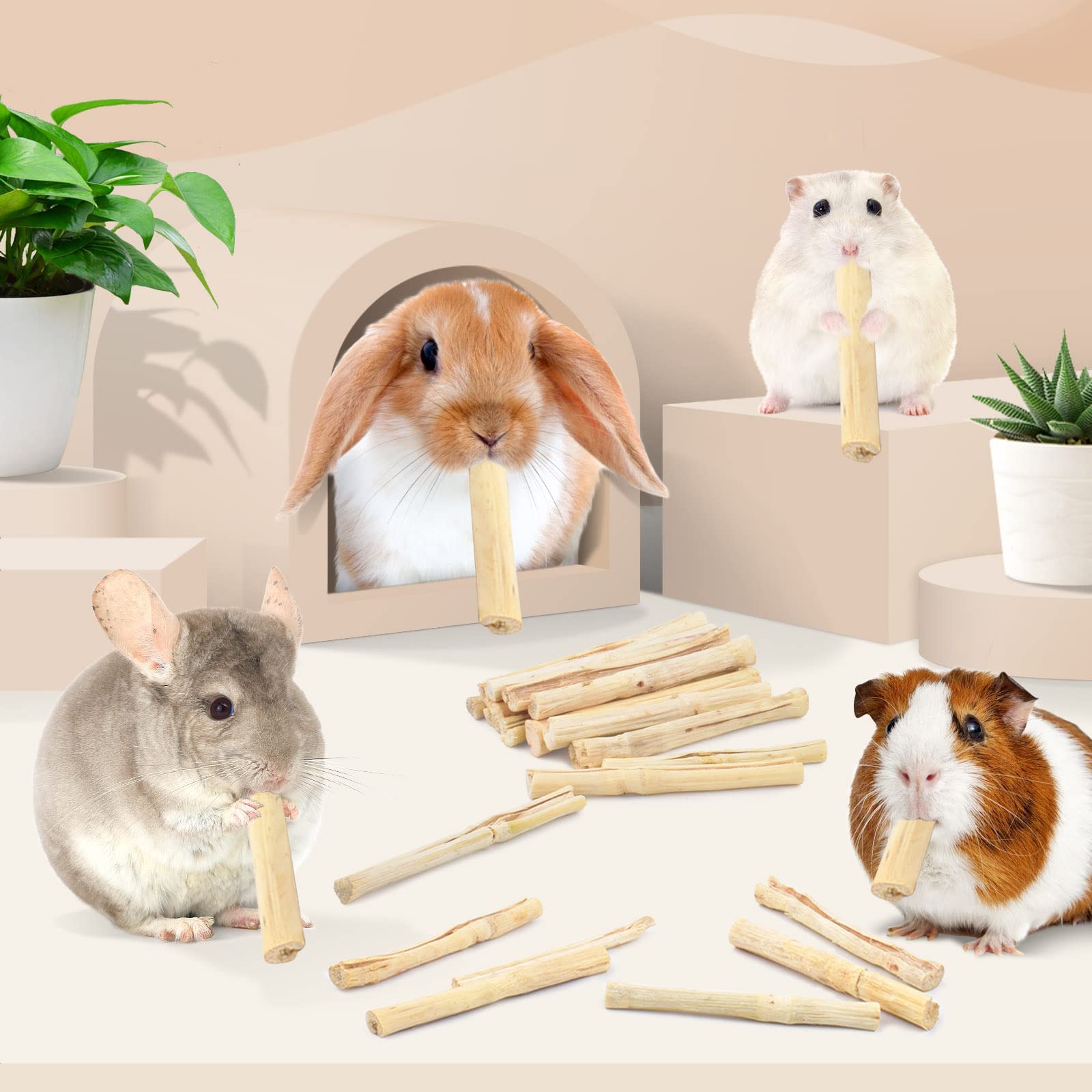 Bissap-juguete-dental-roedores-conejos: promueve masticación y diversión responsable.