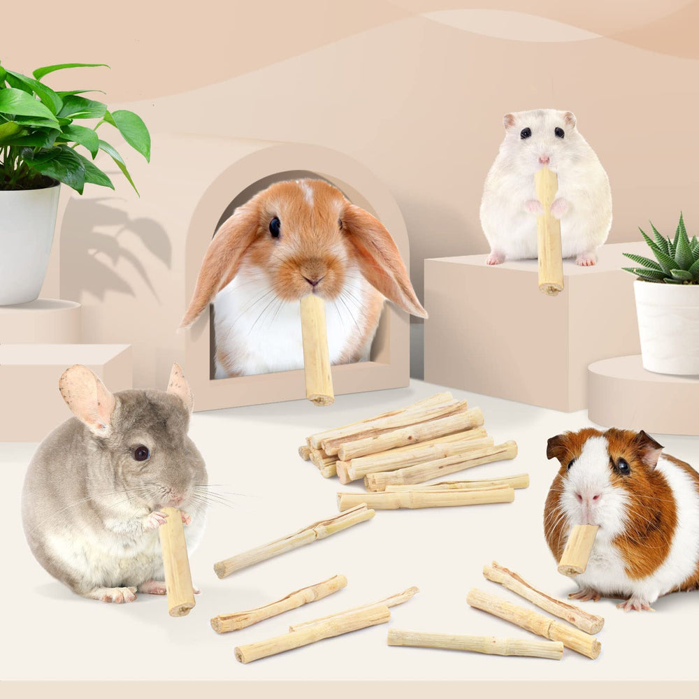 Bissap-juguete-dental-roedores-conejos: promueve masticación y diversión responsable.
