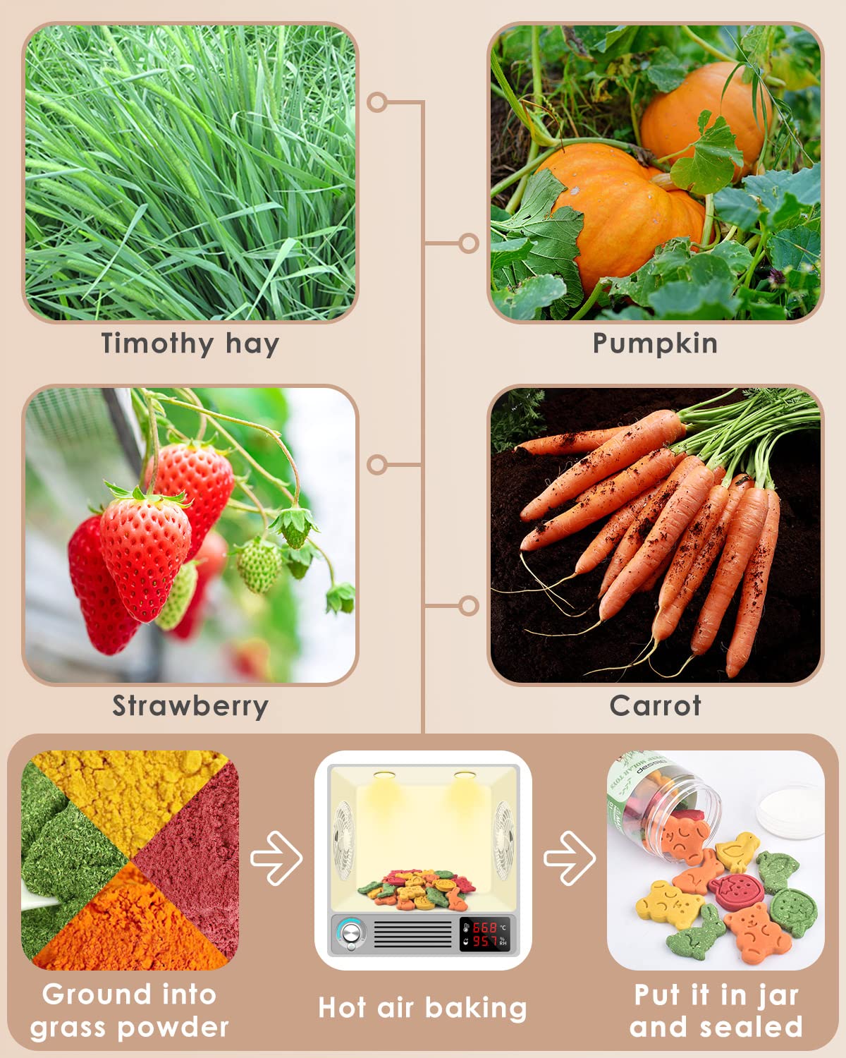 Bissap: sabores Timothy, zanahoria, calabaza y fresa para roedores.