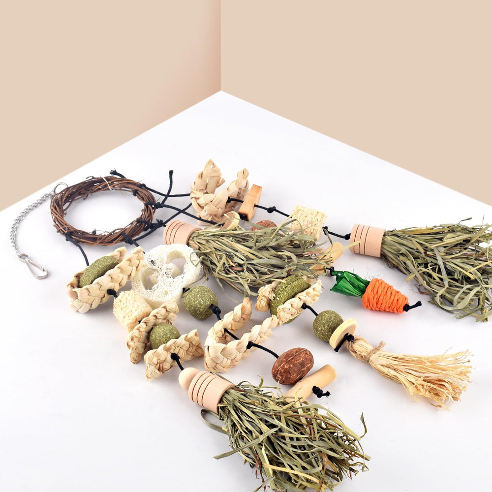 Nuez natural Bissap como merienda saludable para roedores.