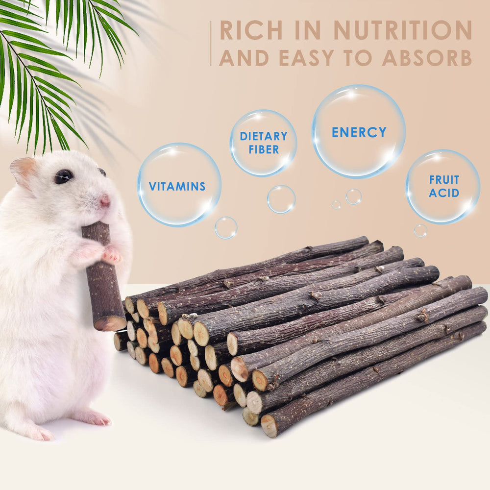 Palitos de Bissap para chinchillas, sabor natural y palatabilidad.