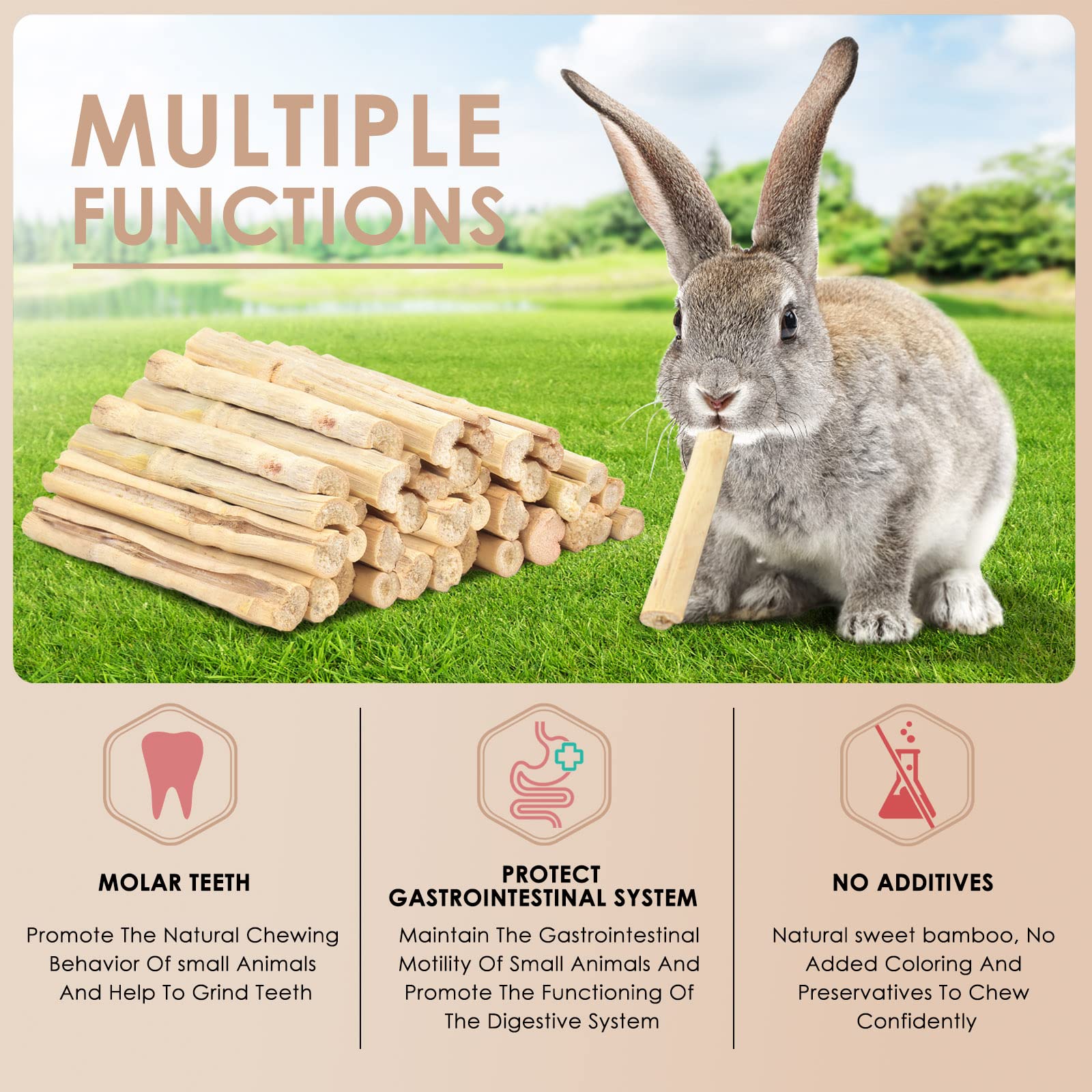 Bissap palitos-masticables-bambu-dulce-gerbilos: snack saludable para roedores activos.