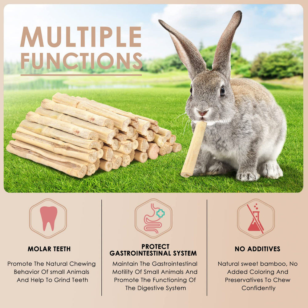 Bissap palitos-masticables-bambu-dulce-gerbilos: snack saludable para roedores activos.