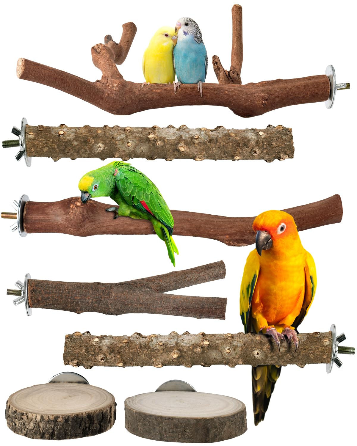 Bissap perchas naturales de 7 piezas para ejercitar patas y explorar.