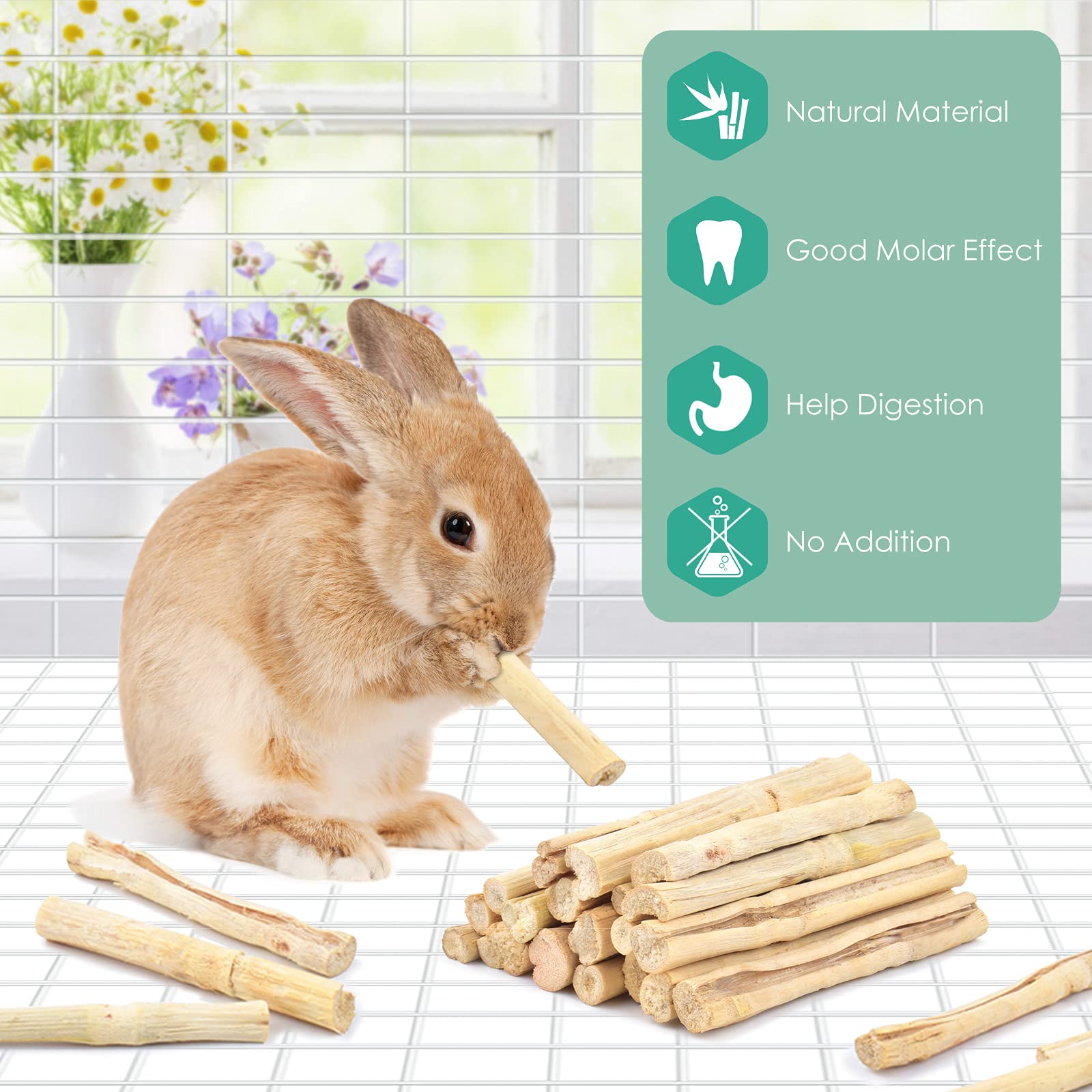 Regalo divertido para conejos, cobayas, chinchillas y otros roedores.