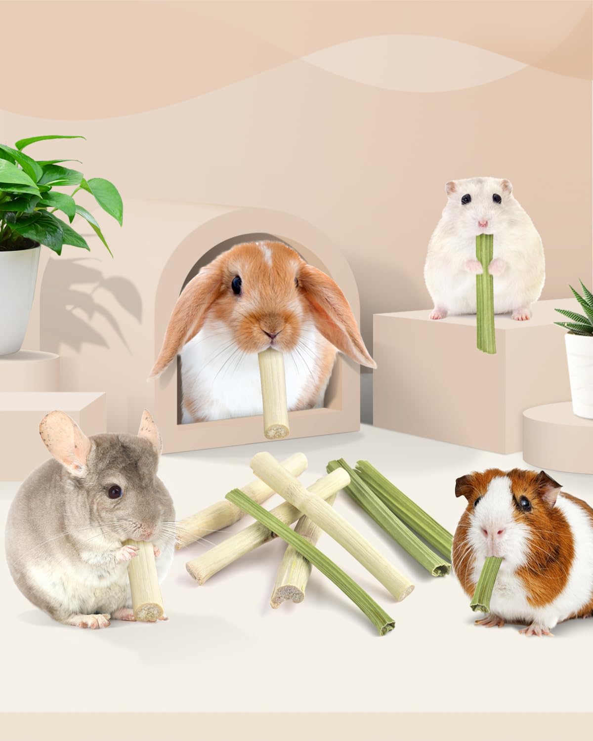 Bissap regalo natural para mascotas pequeñas, estimulante y sabroso.