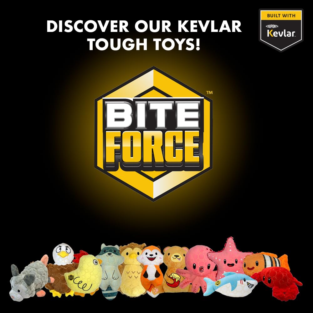Bite Force mapache para juegos de tirar, perfecto para sesiones dinámicas
