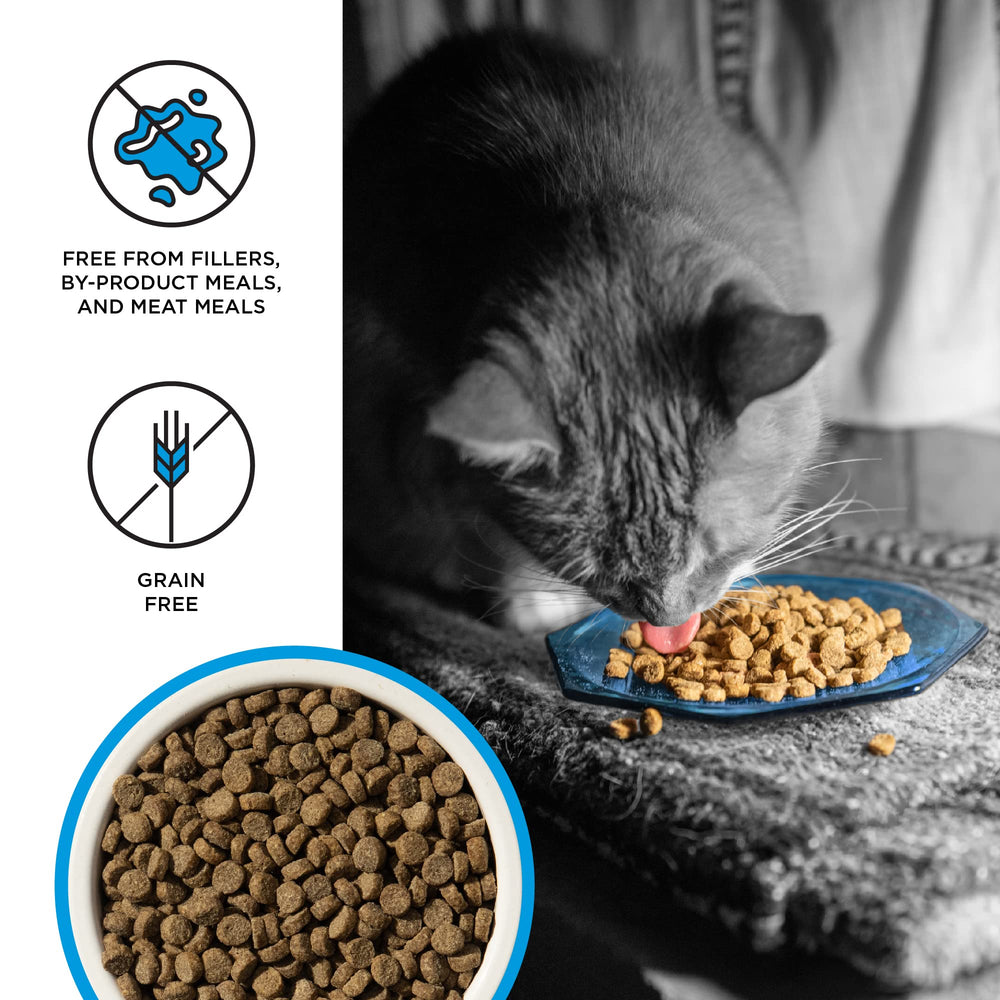 BIXBI Liberty salmón sostenible en una receta sin granos para gatos.