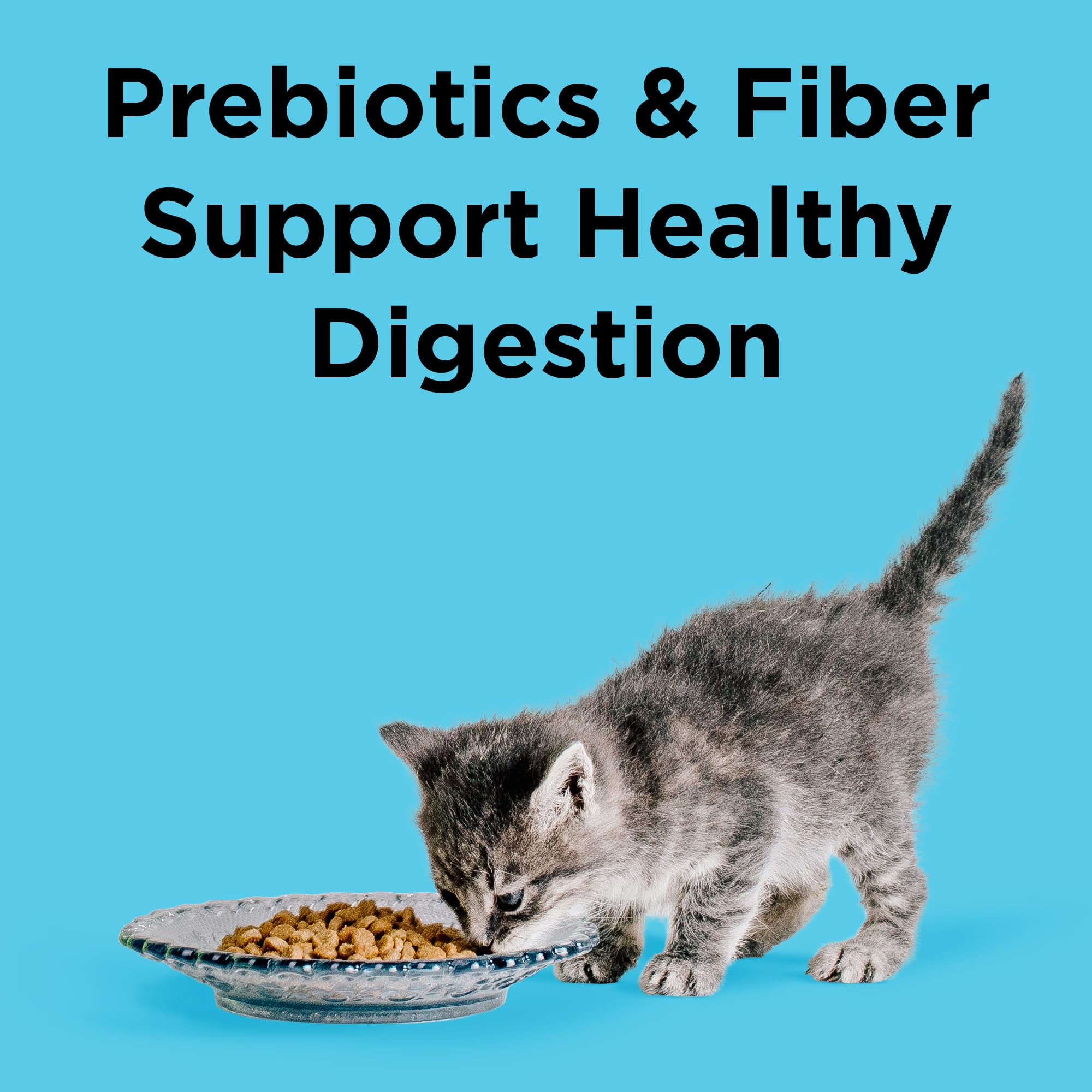 BIXBI Liberty, sin granos, pensado para gatos con necesidades de digestión.