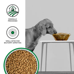 BIXBI Liberty: tazón de comida seca con nutrición equilibrada