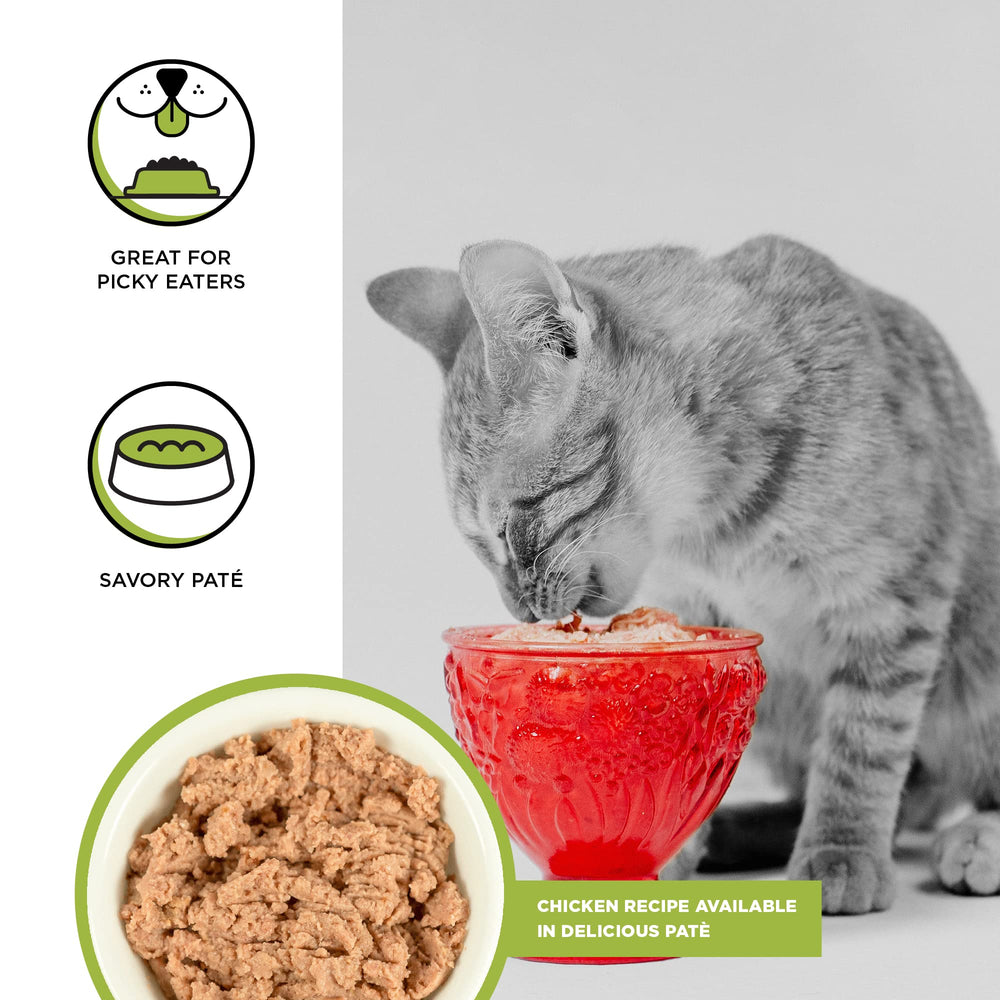 BIXBI Rawbble pate de pollo para gatitos, lata 02, textura suave para alimentar