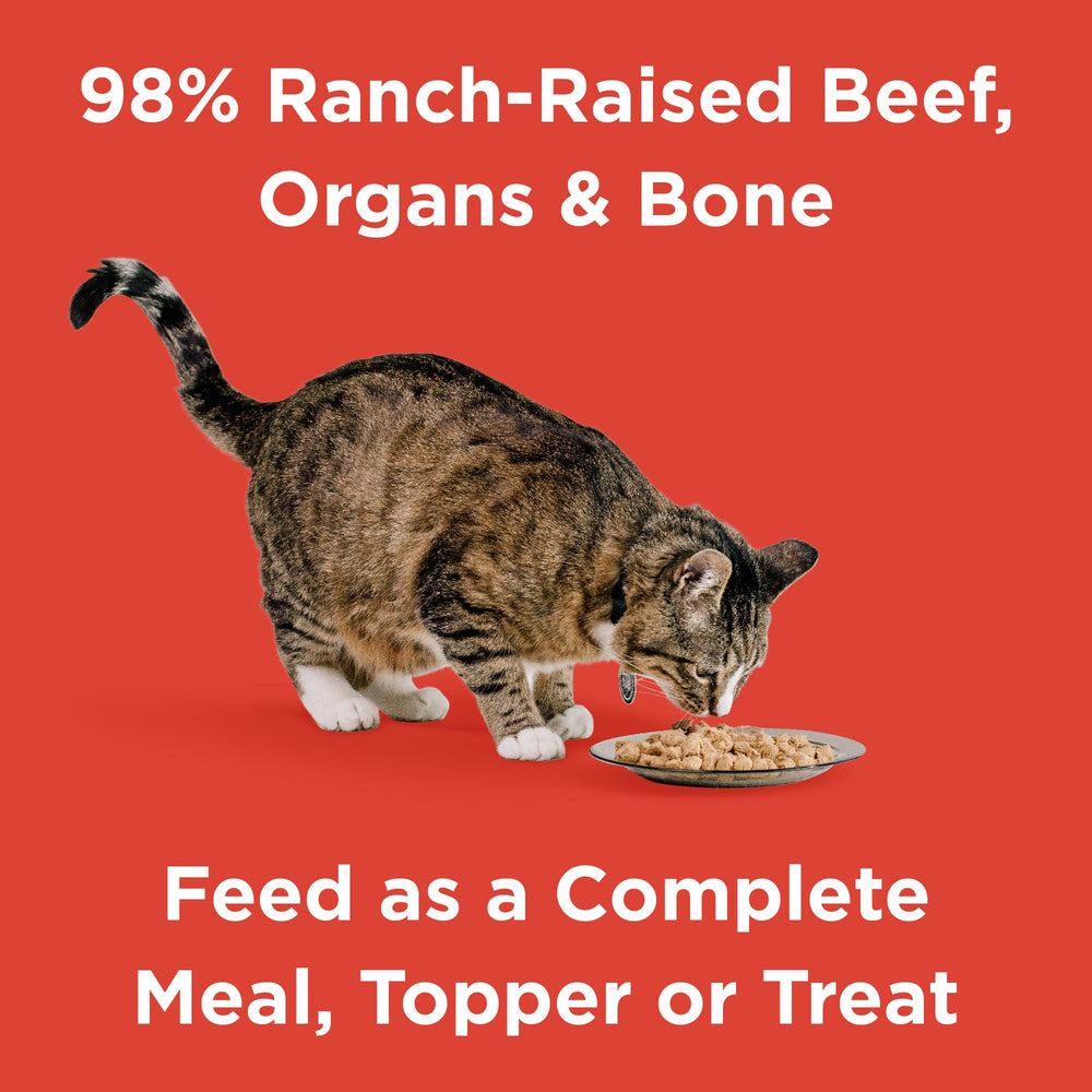 BIXBI RAWBBLE; trozos de res liofilizados para gatos, sabor natural y nutritivo.
