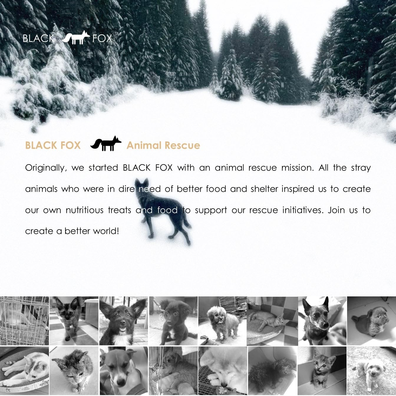 BLACK FOX para perros y gatos, entrenamiento diario sin gluten.