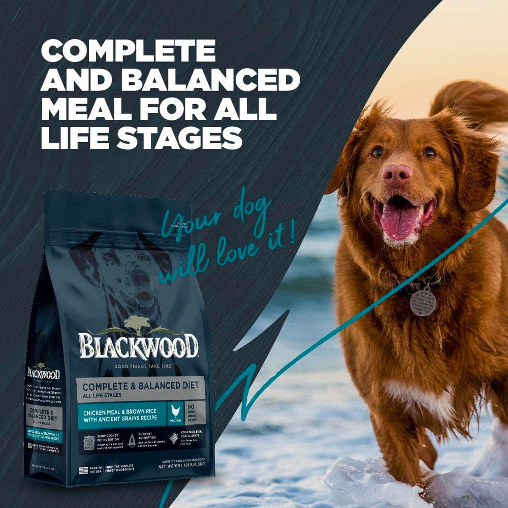 Blackwood apto para todas las razas y edades: nutrición equilibrada.