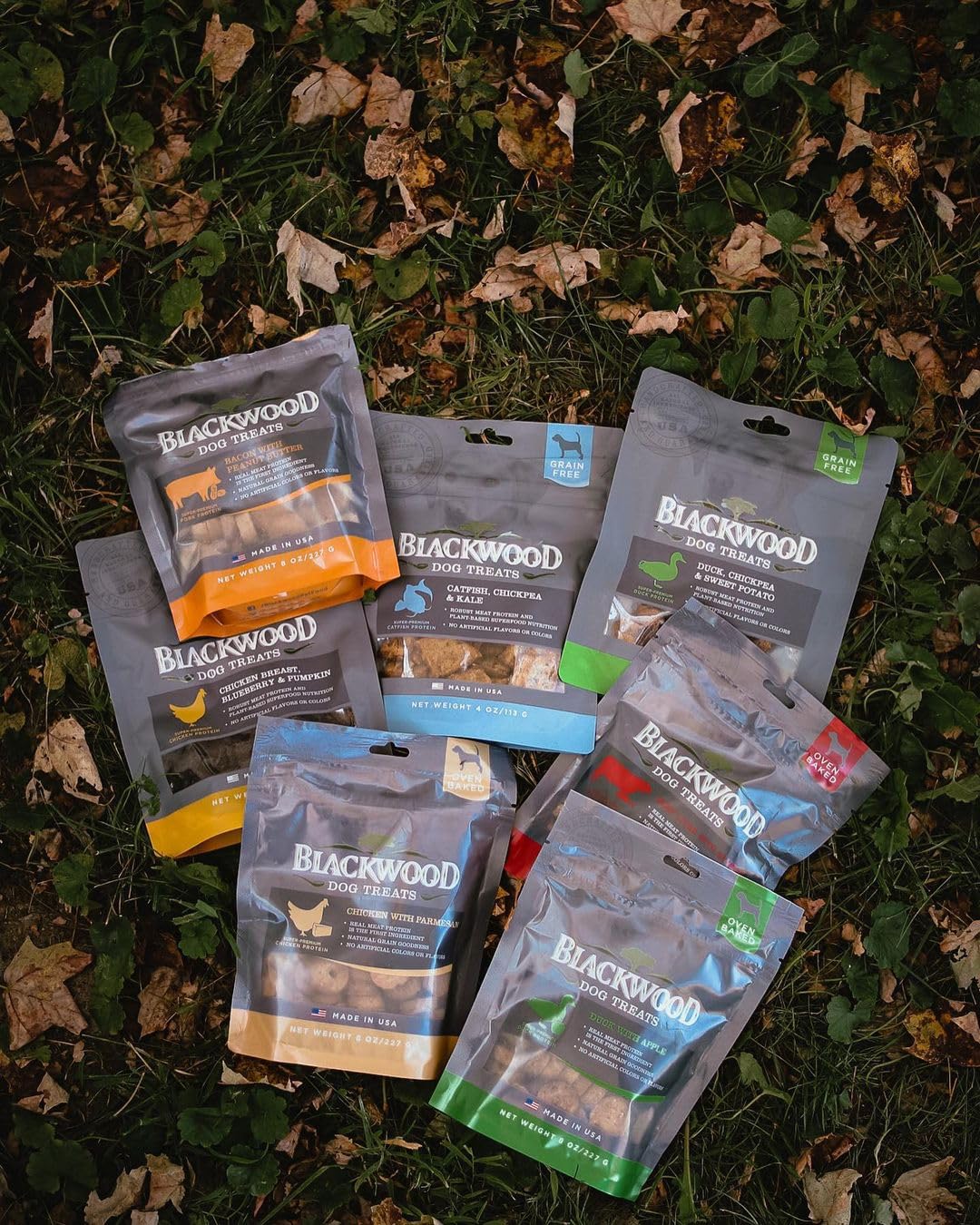 Blackwood snack para entrenamiento diario en el parque