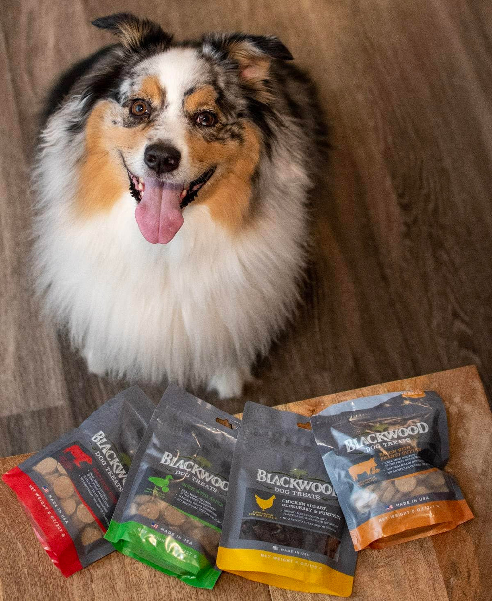 Blackwood tamaño cómodo para perros de todas las edades