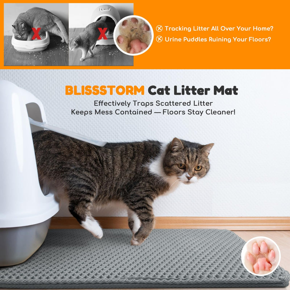 Olor neutro y ambiente más limpio con Blissstorm.