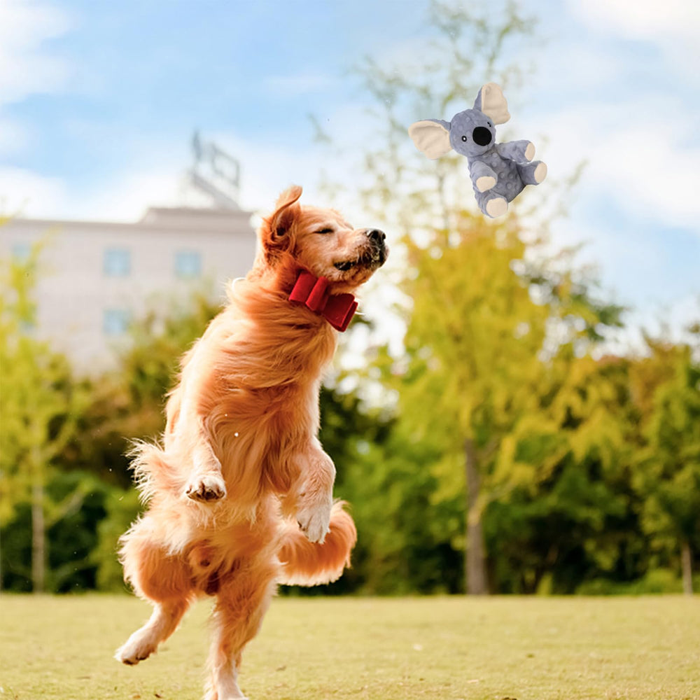 Jouet koala Blnboimrun polyvalent pour chiots et chiens moyens à grands