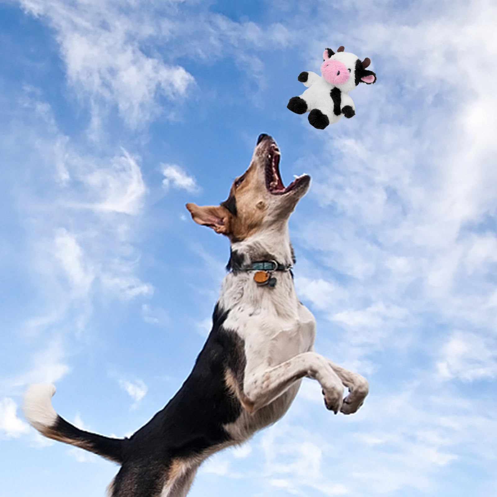 Perro jugando con el juguete Blnboimrun, diversión en casa.