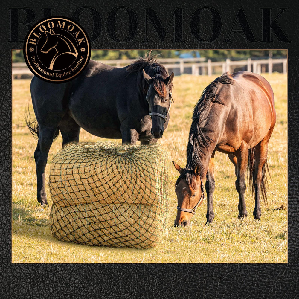 Bloomoak Slow Hay Net: seguridad y colocación para evitar enganches