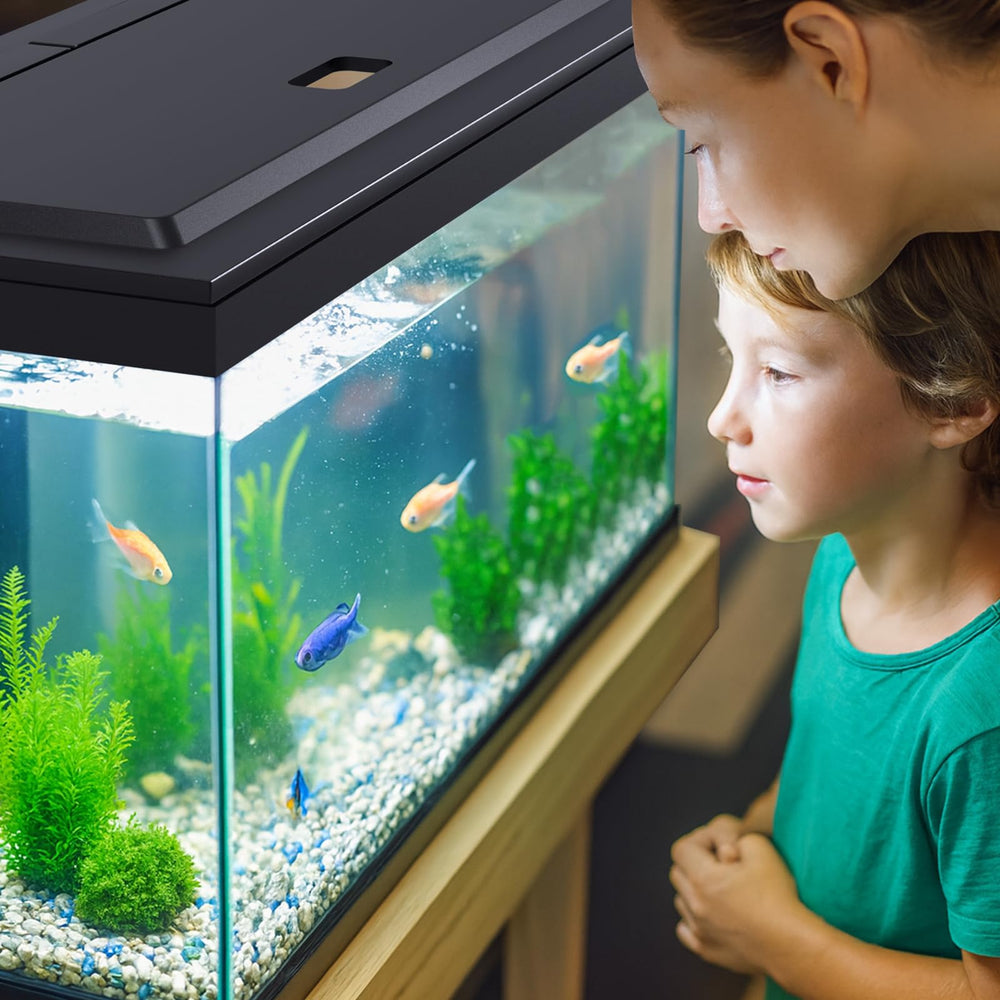 Kit de instalación Blosail para tapa de acuario, montaje rápido y estable