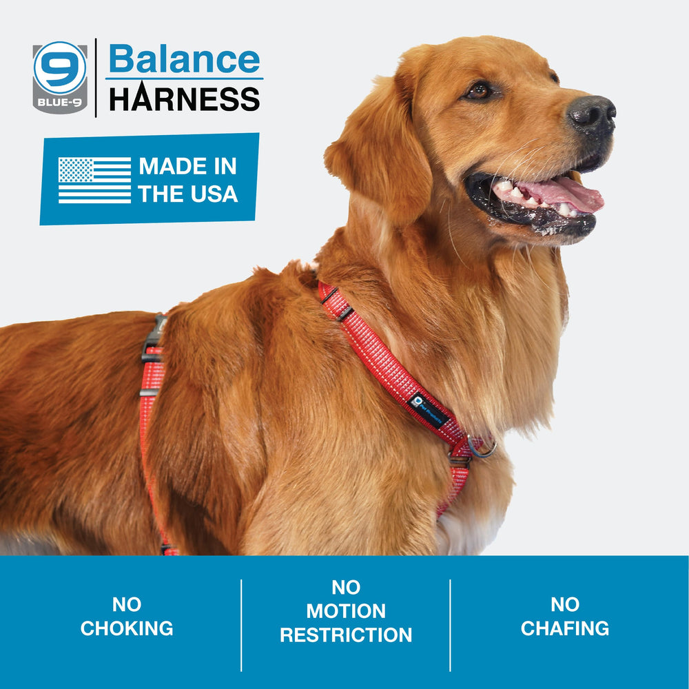 Blue-9 arnés balance ajuste de seis puntos para talla personalizada
