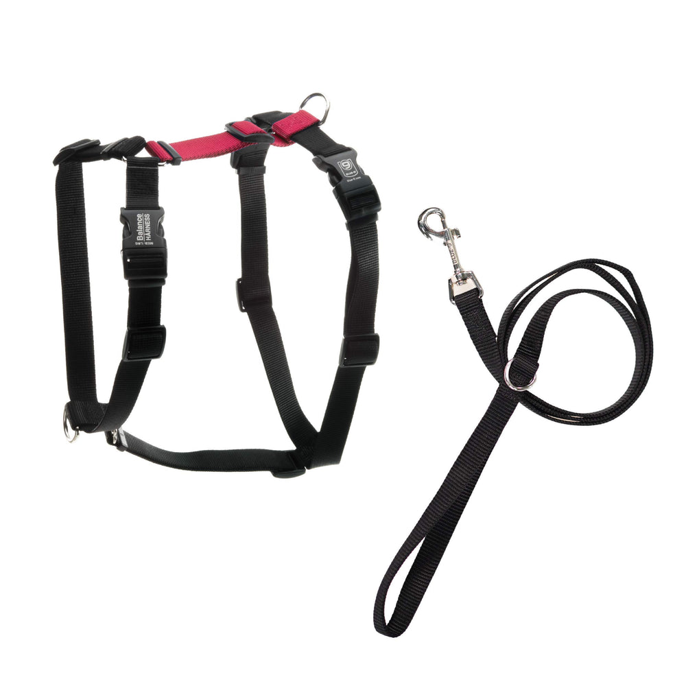 Blue-9 Arnes Equilibrio ajuste-seis-puntos para comodidad y seguridad en paseos.