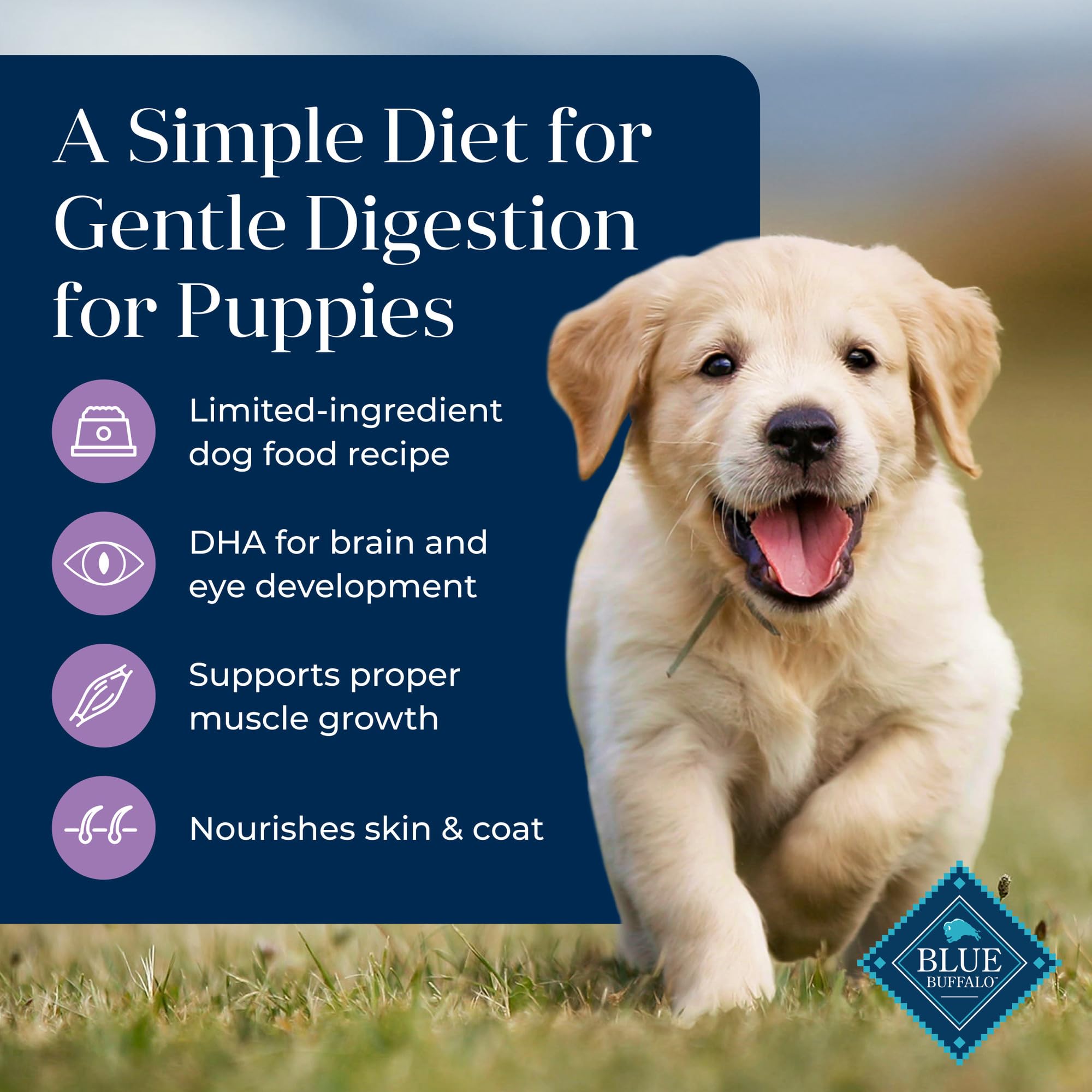 Blue Buffalo Basics DHA-ARA para desarrollo cerebral y ocular de cachorros.