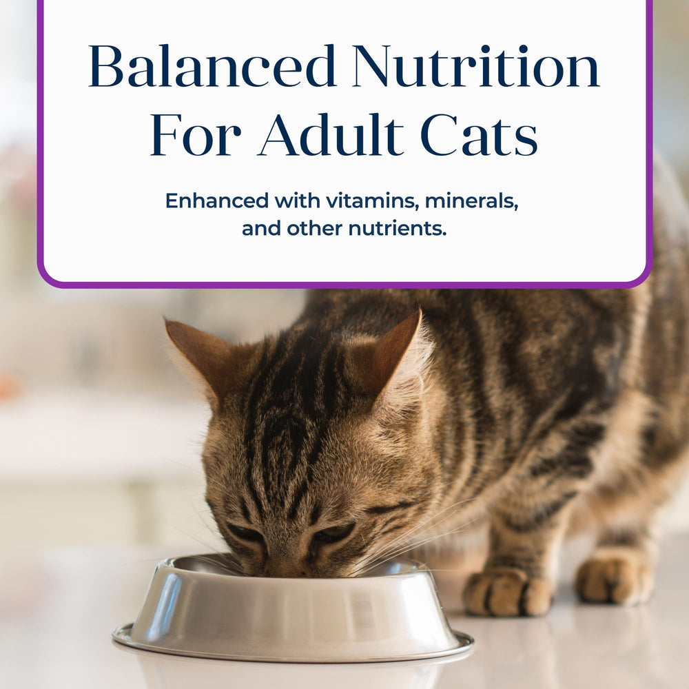 Blue Buffalo Basics: dieta de ingredientes limitados para gatos sensibles