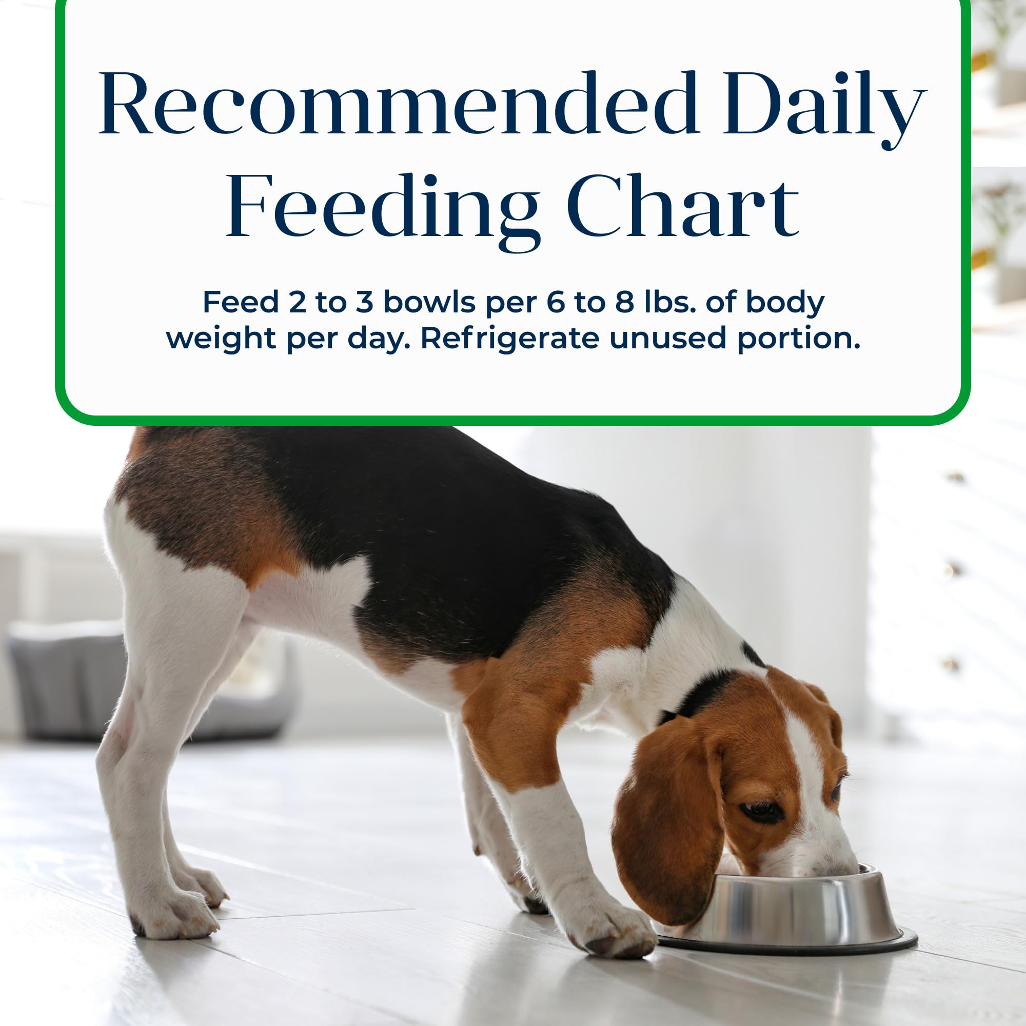 Blue Buffalo Basics ayuda a mantener energía en perros pequeños activos.
