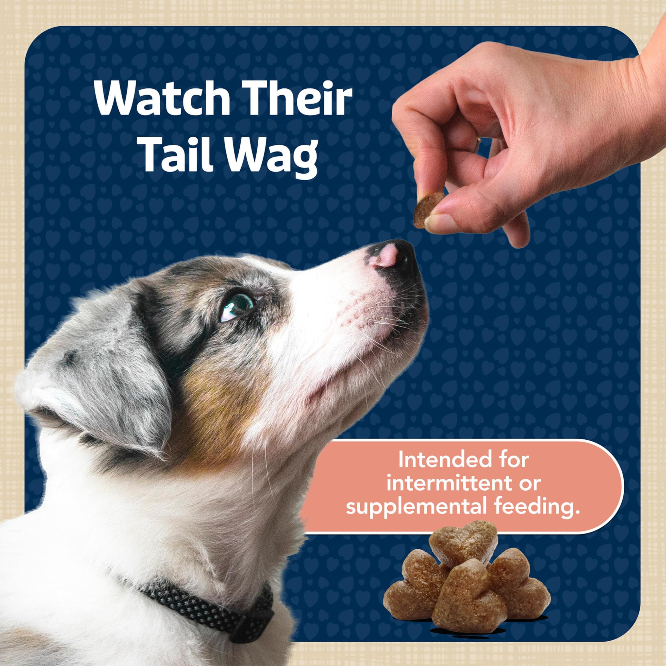 Blue Buffalo Bits aroma a salmón que anima la participación del perro