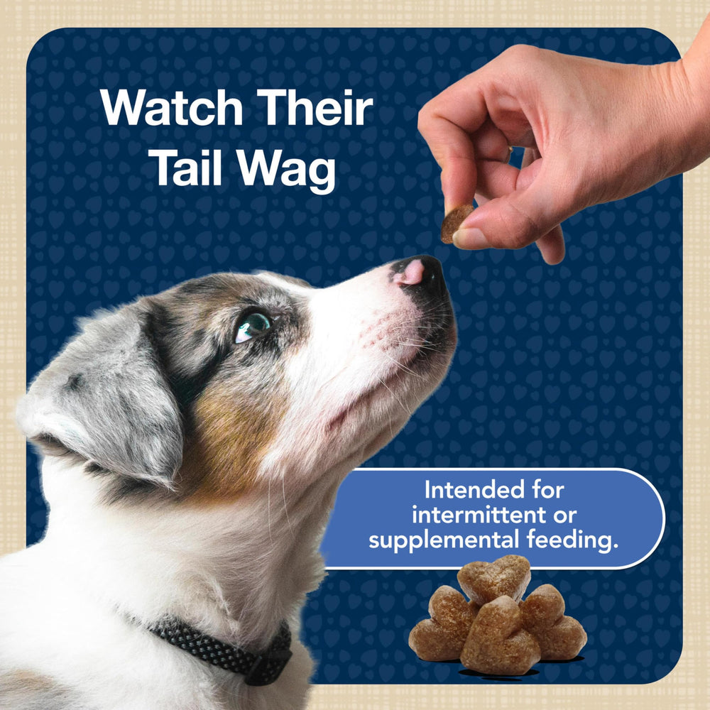Blue Buffalo Bits: ideal para entrenamiento diario con sabor que agrada