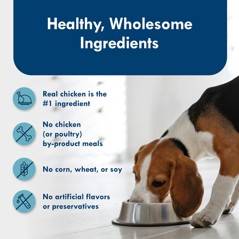 Blue Buffalo Delights: cuenco de comida húmeda para perros pequeños.