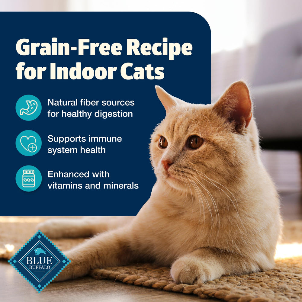 Gato adulto de interior con dieta balanceada y digestión saludable