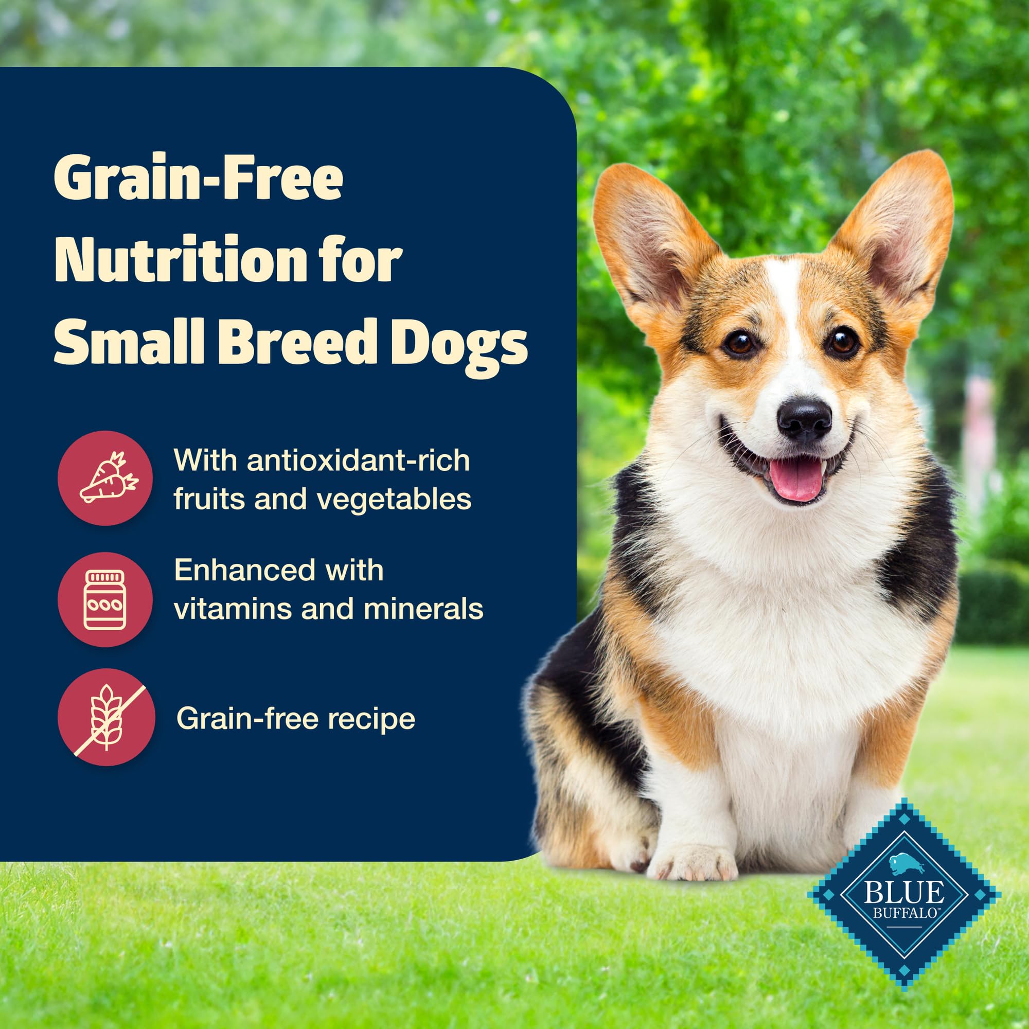 Blue Buffalo Freedom sirve como comida completa para perro pequeño.