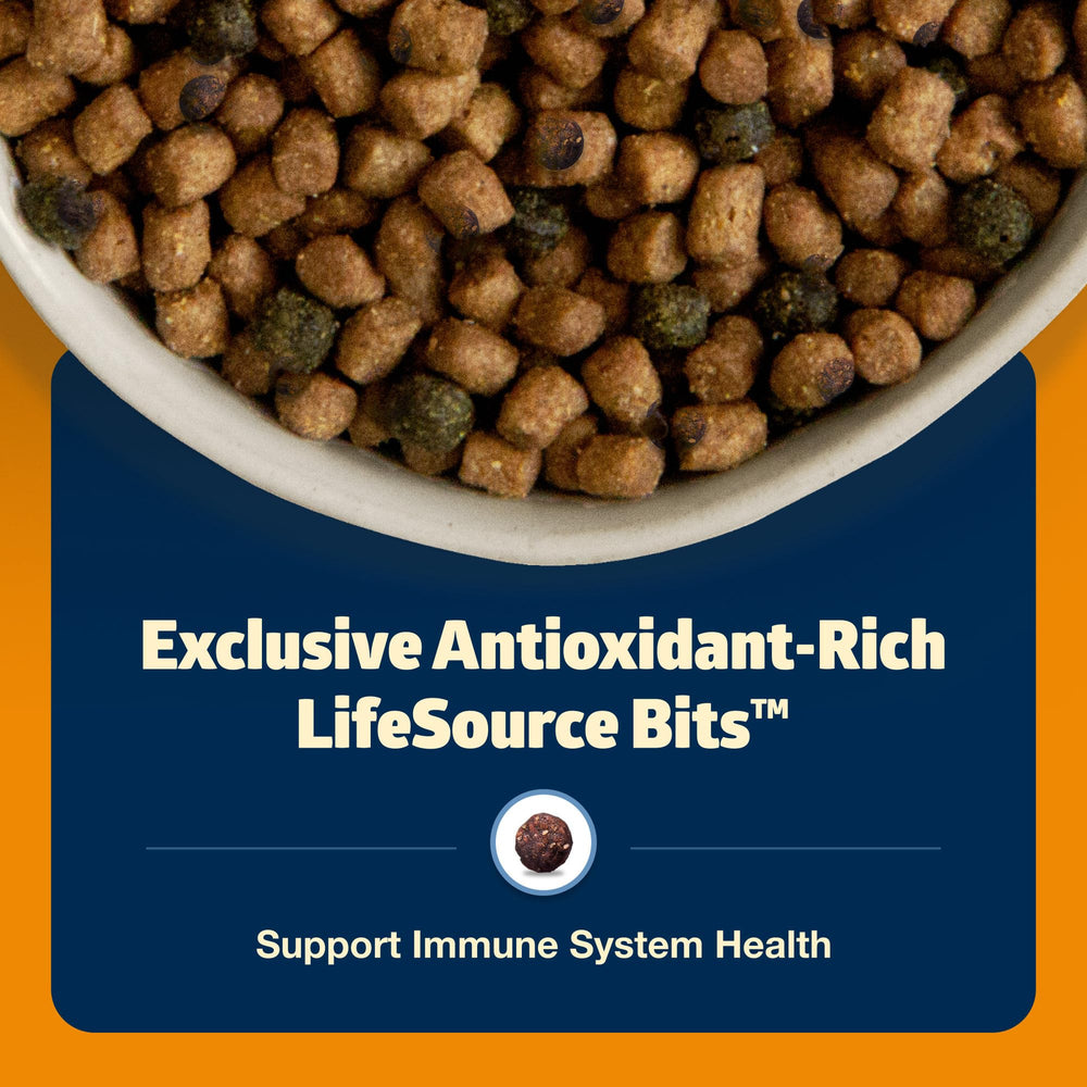 Blue Buffalo Freedom Grain-Free sin subproductos de pollo para una nutrición limpia.