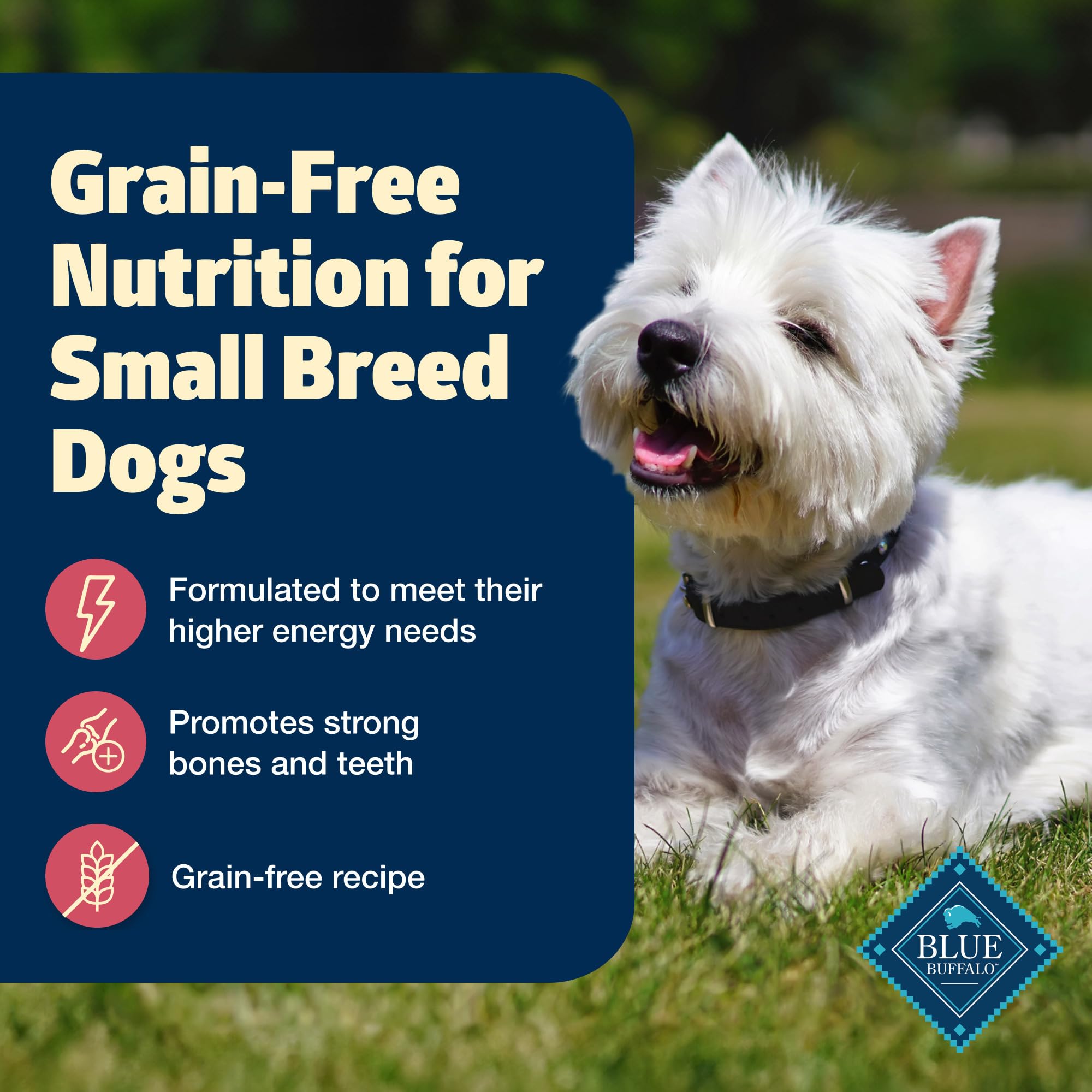 Blue Buffalo Freedom: LifeSource Bits antioxidantes para apoyar el sistema inmune.