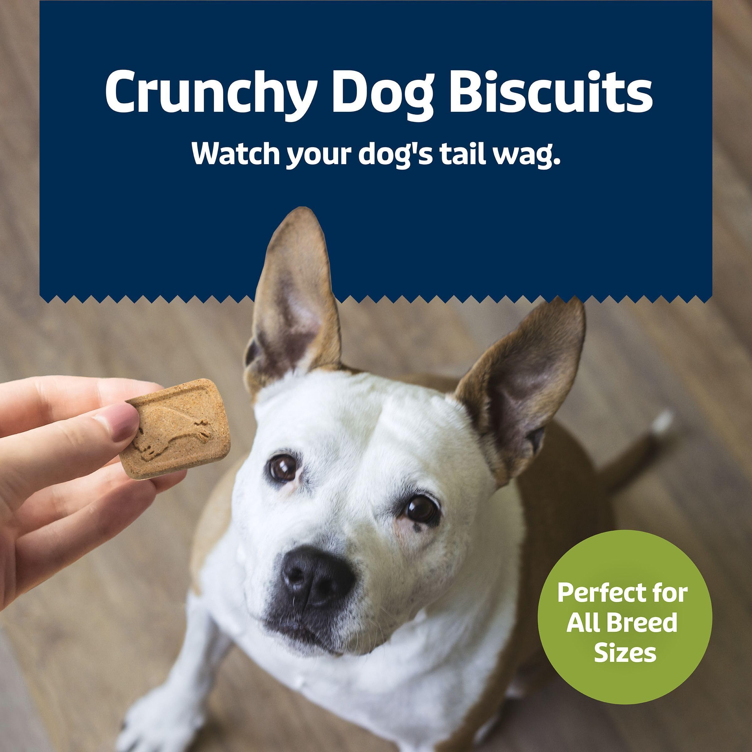 Texture croquante adaptée aux chiens qui aiment le crunch