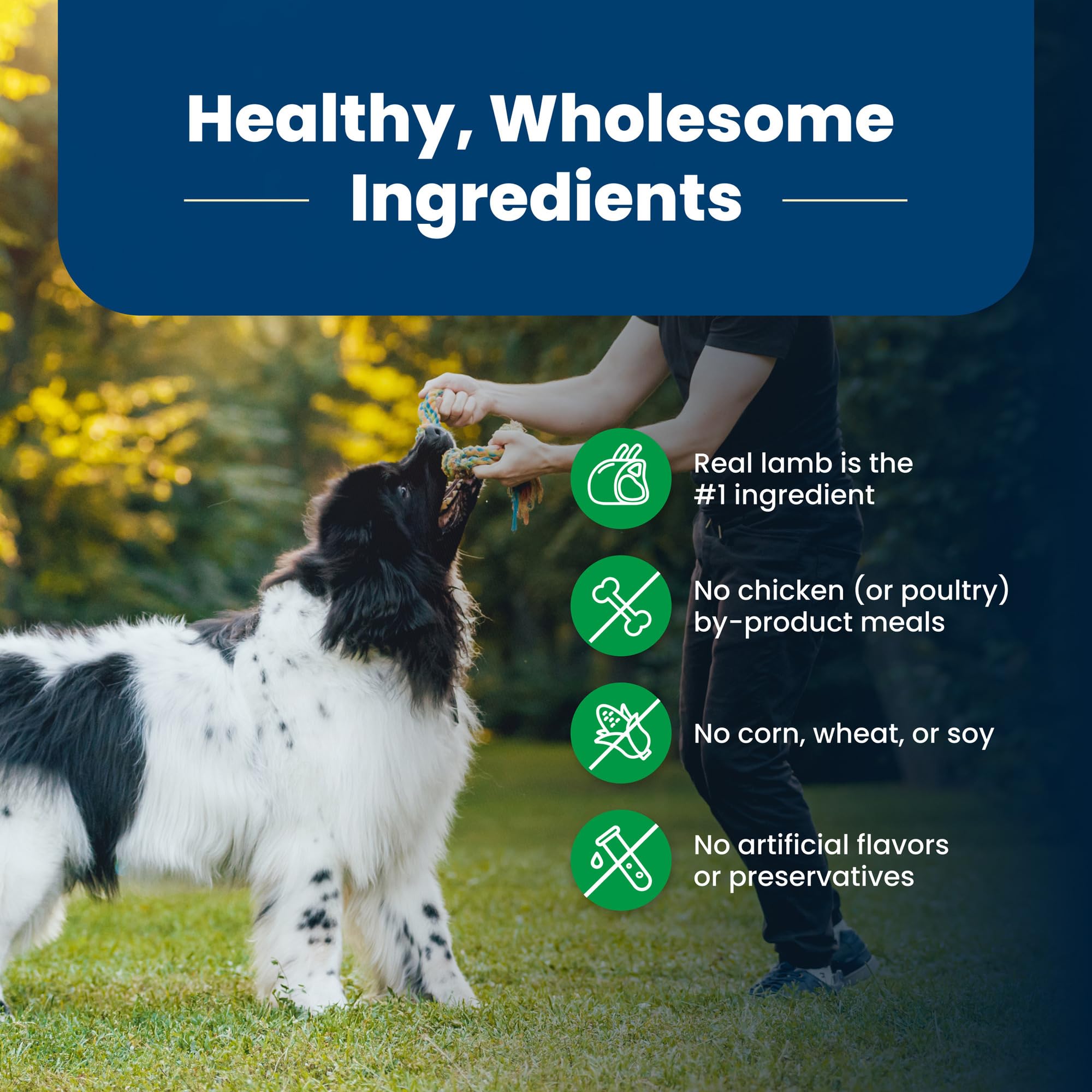 Blue Buffalo Life Protection Formula, cordero en porciones para perros