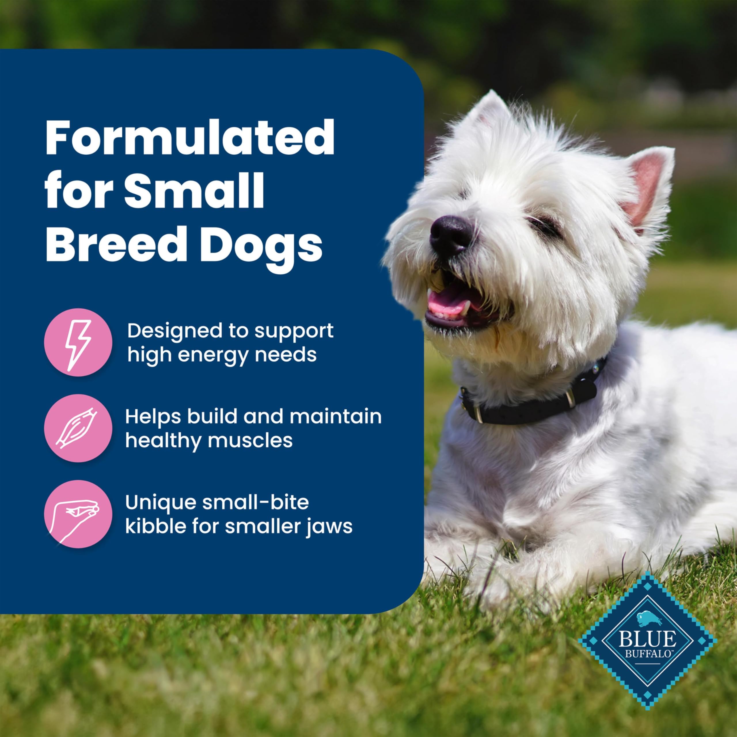 Blue Buffalo Life Protection Formula energía alta para perros pequeños.