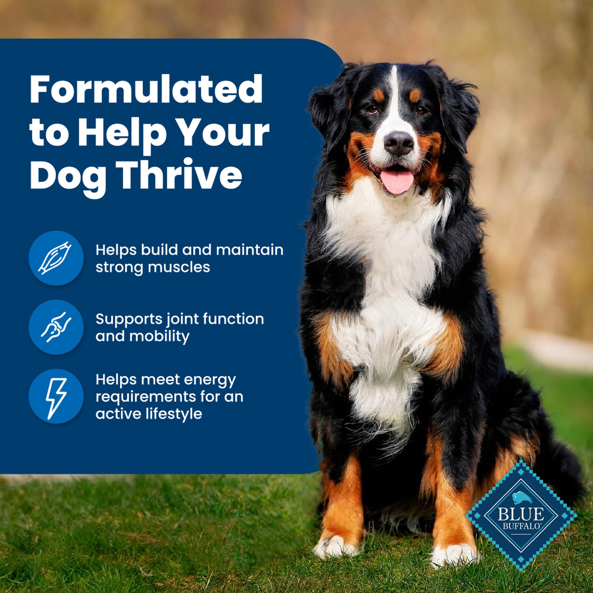 Blue Buffalo Life Protection Formula sin maíz, trigo ni soya para tolerancia.