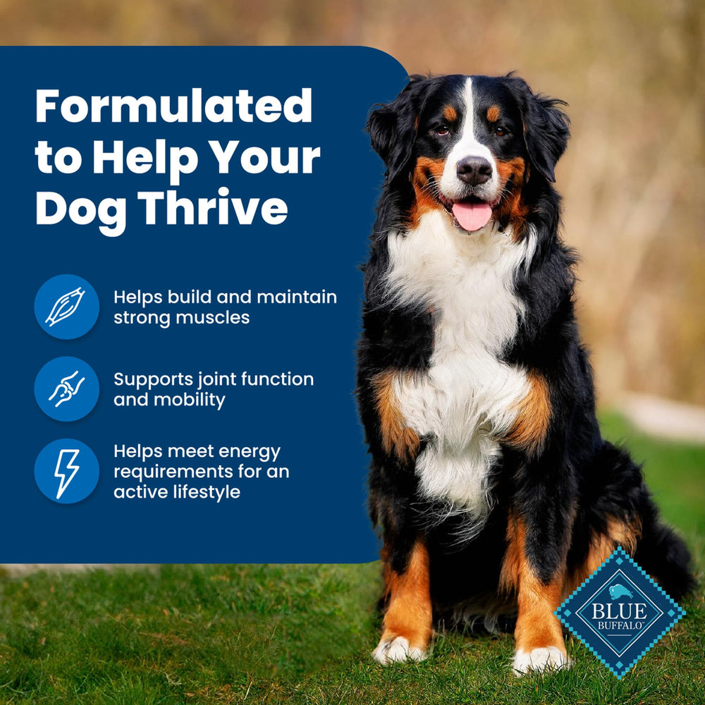 Blue Buffalo Life Protection Formula sin maíz, trigo ni soya para tolerancia.