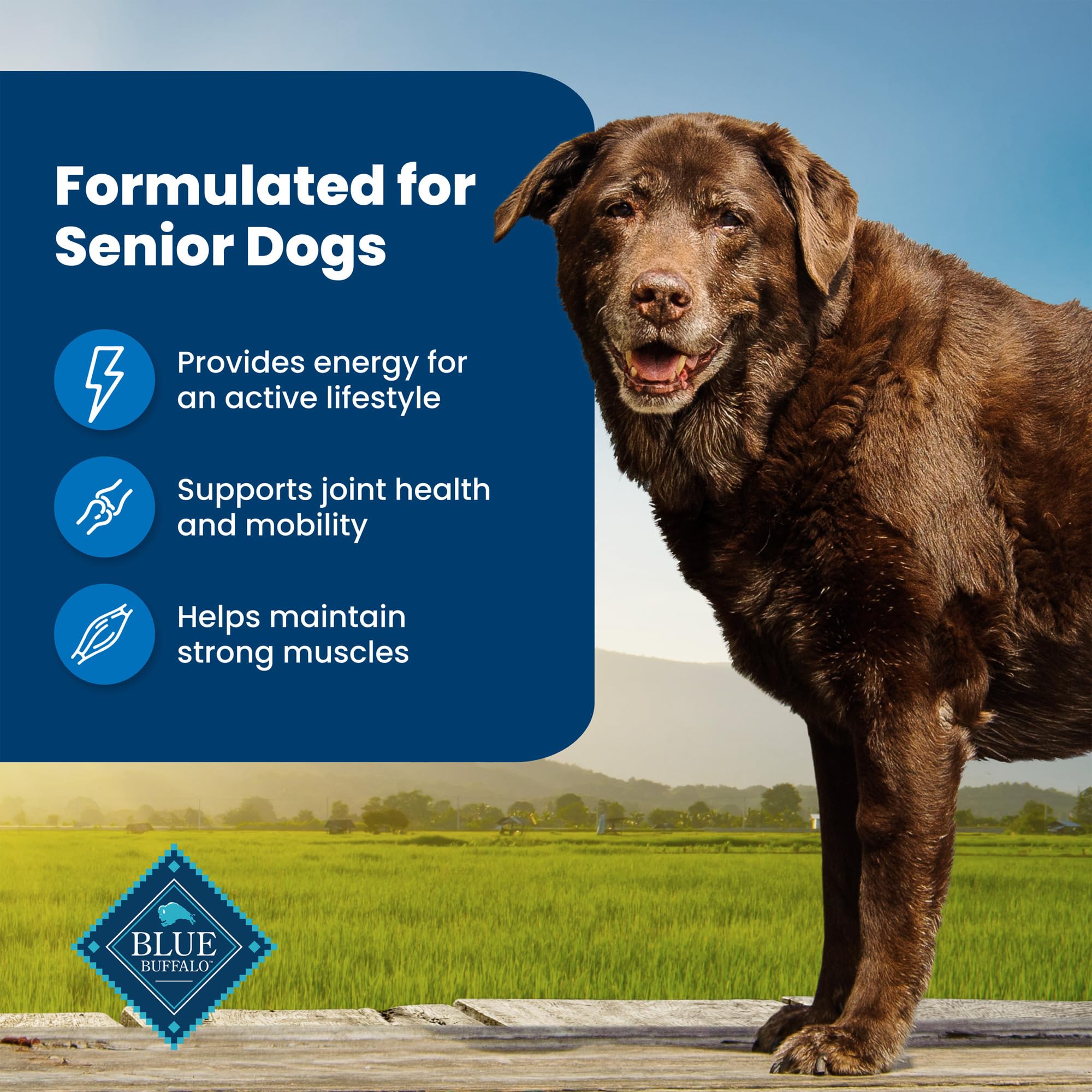 Blue Buffalo Life Protection Senior: glucosamina y condroitina para apoyar articulaciones y movilidad.