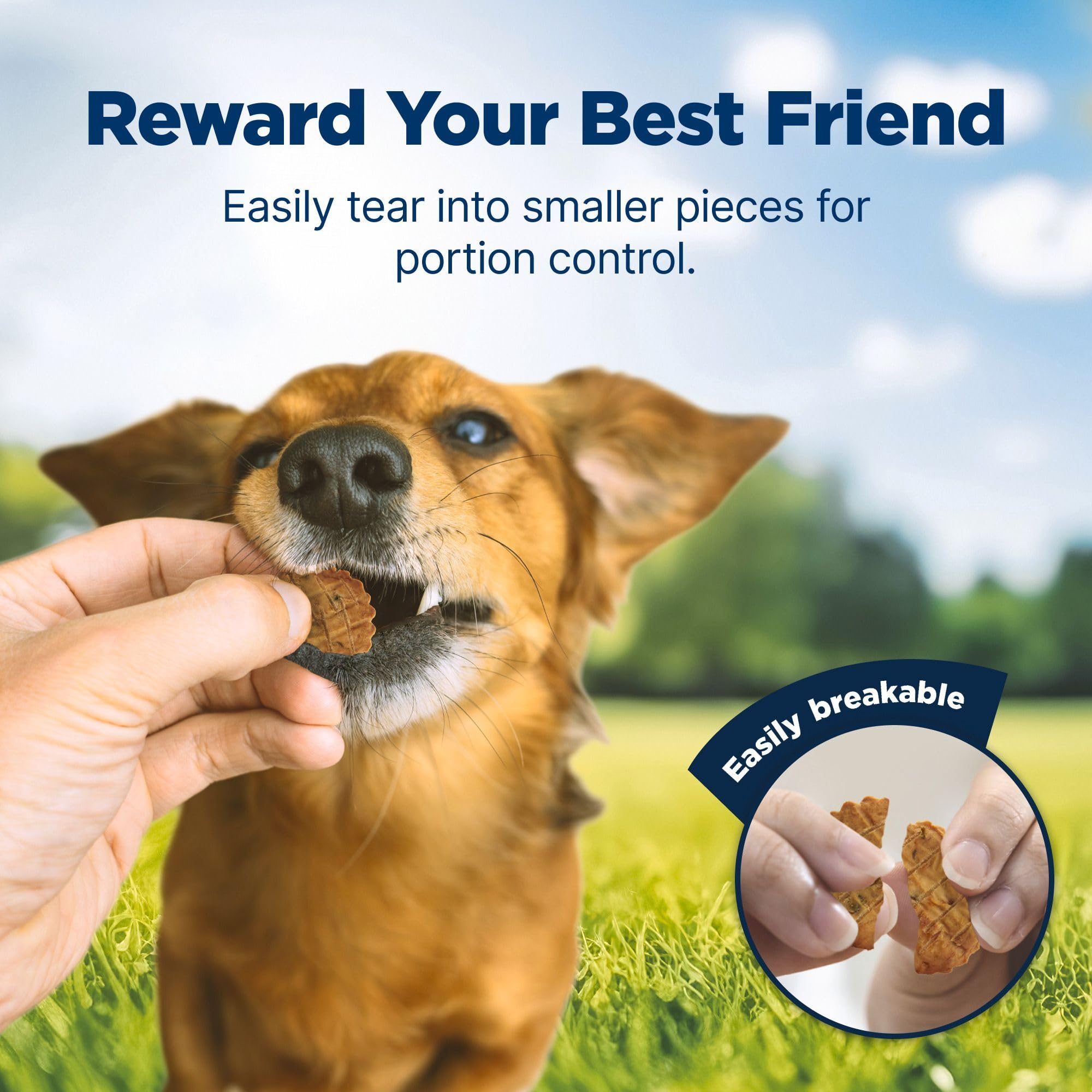 Blue Buffalo Nudges sin preservantes artificiales, snack más limpio para perros.