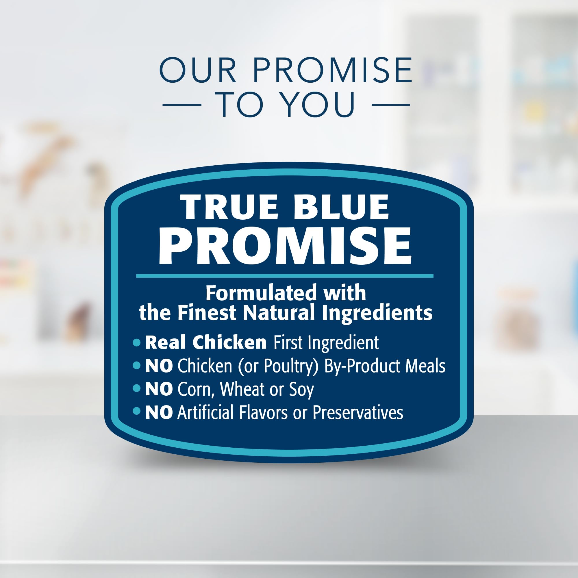 Blue Buffalo KS Kidney Support: perro disfrutando la comida húmeda para apoyar salud renal