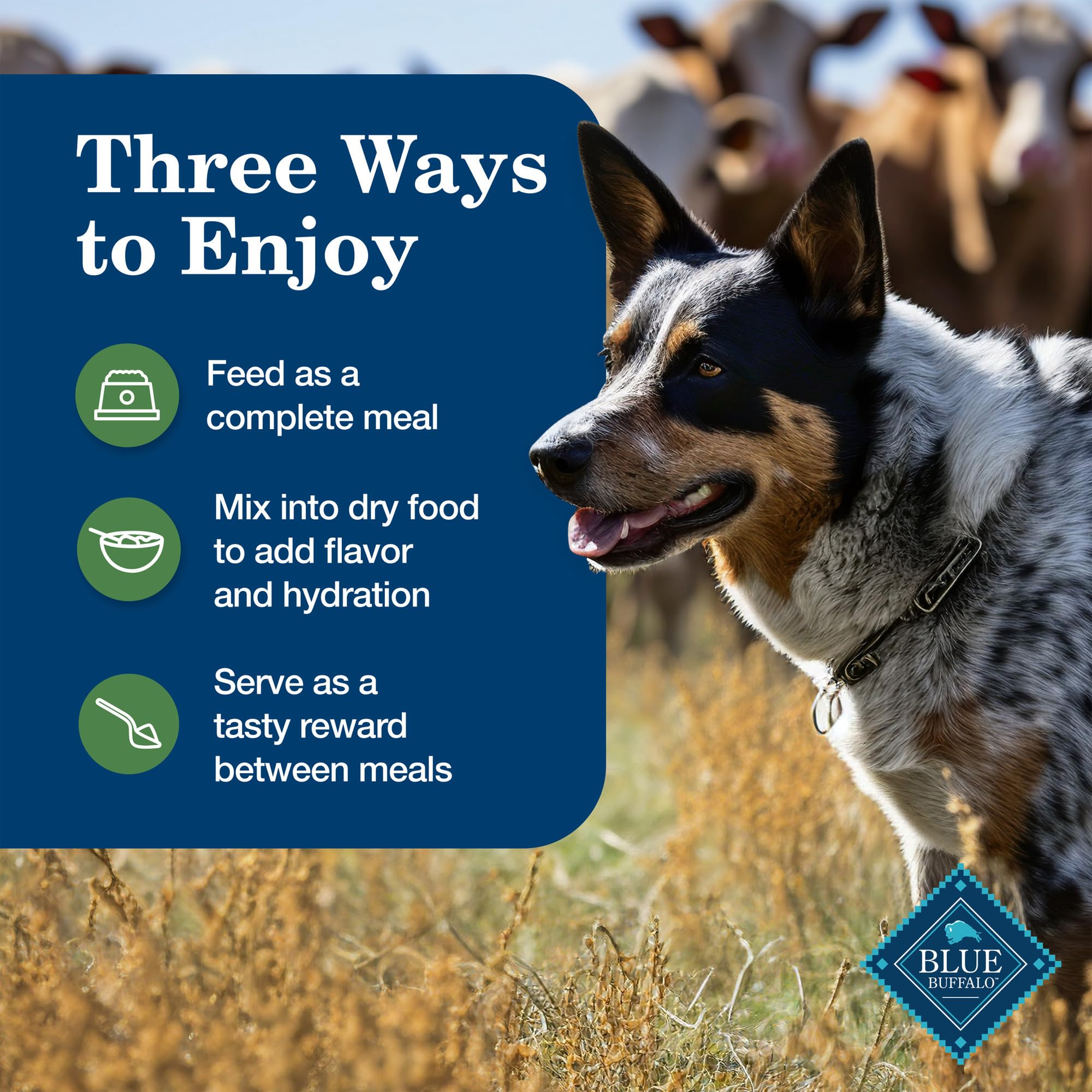 Blue Buffalo Receta Casera para Perro Adulto: sin cereales, ideal para perros sensibles