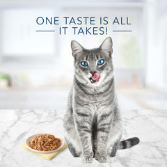 Blue Buffalo Tastefuls: gato comiendo, experiencia de sabor que estimula el apetito.