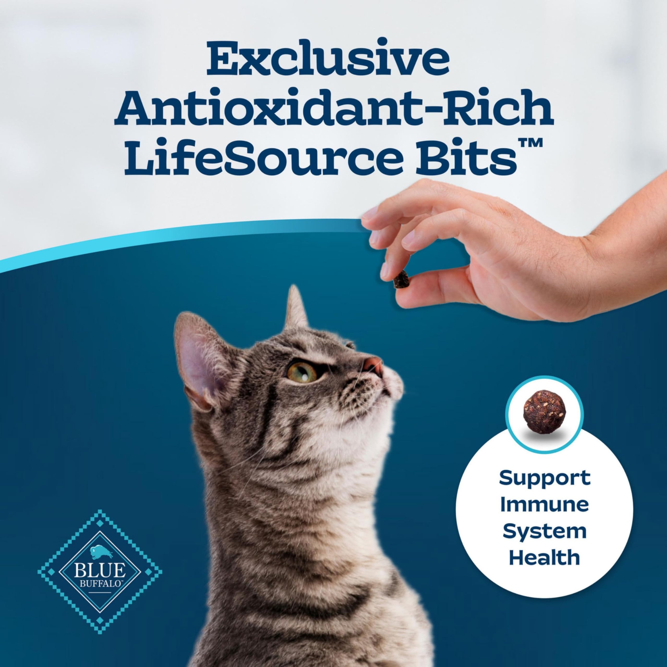 Blue Buffalo Tastefuls sensitive stomach kibble texture close up