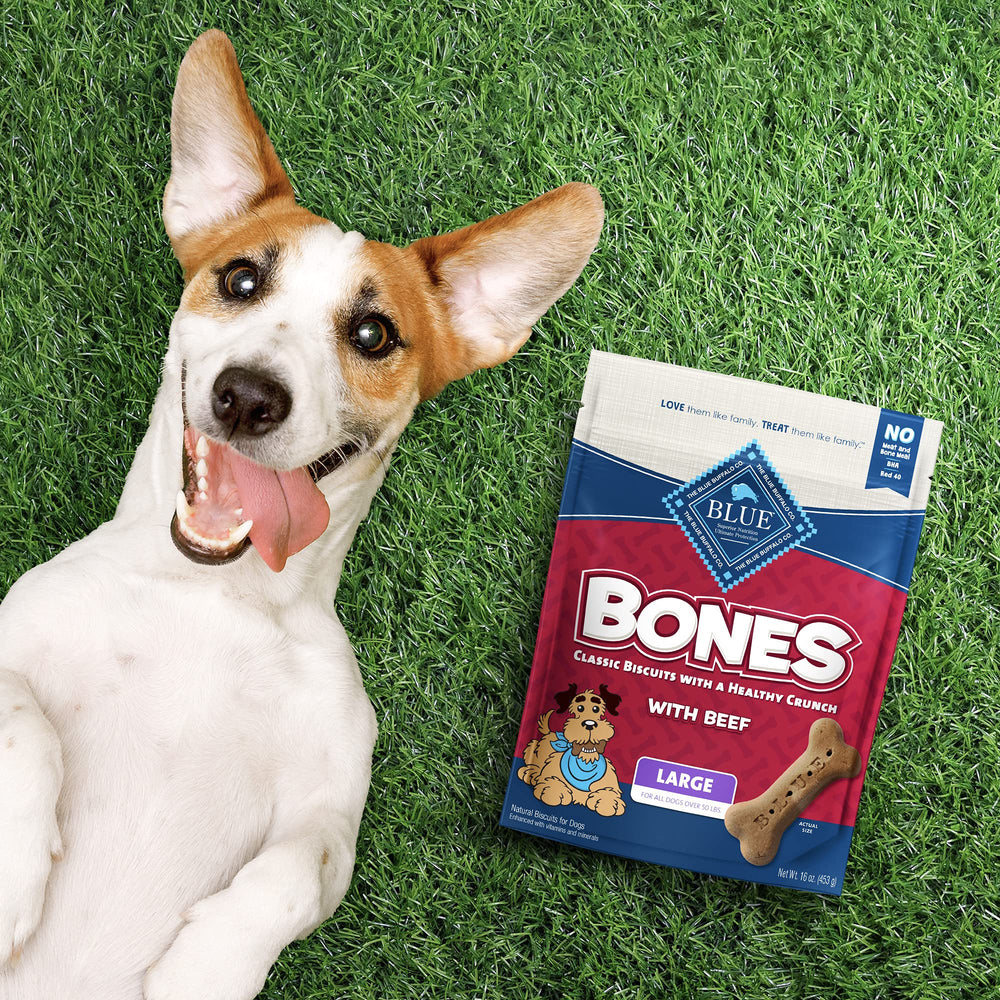 Blue Buffalo Bones: textura duradera para entrenamiento y juego