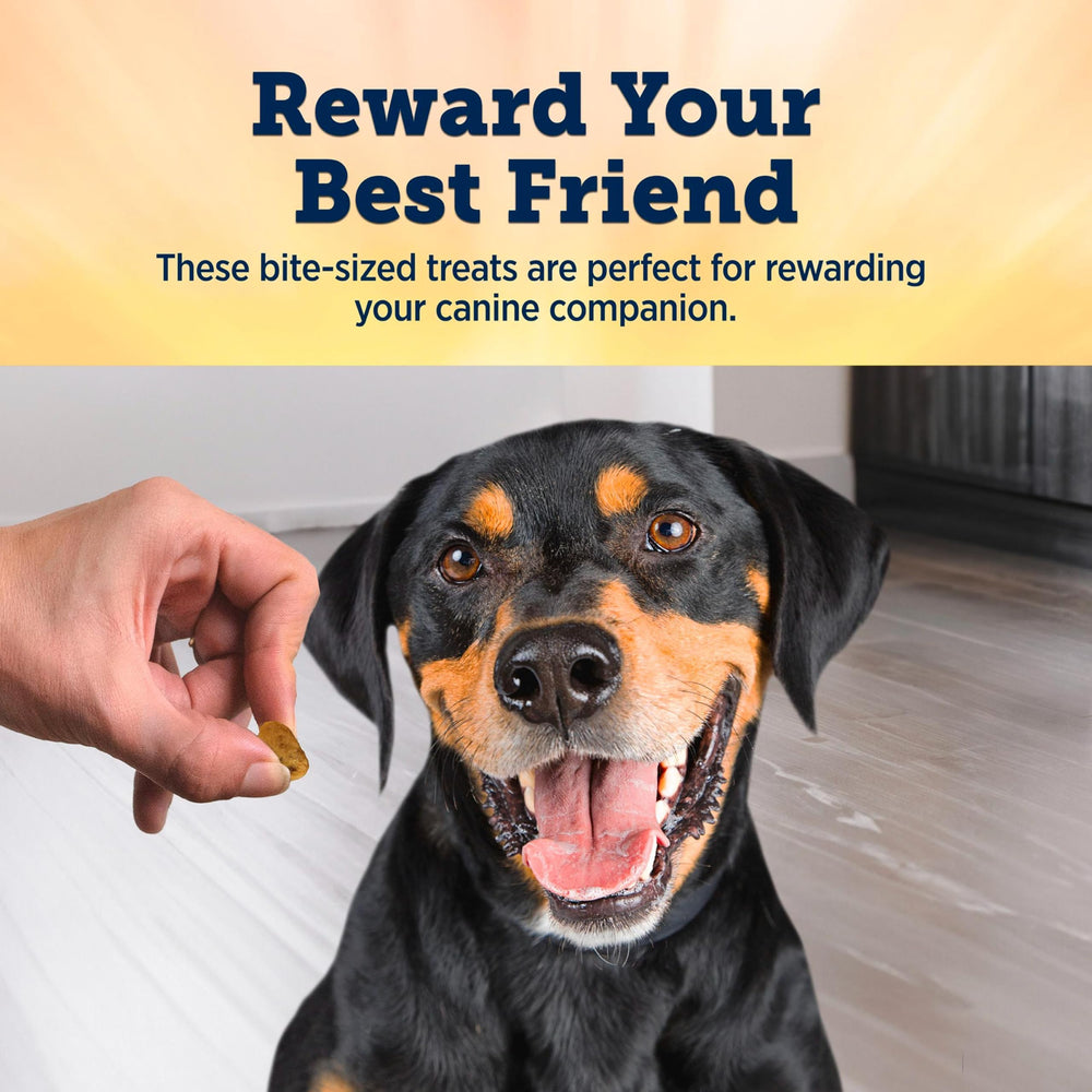 Blue Buffalo True Chews training-friendly bites ideal for quick rewards.